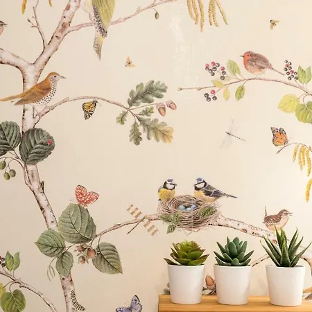 شقة Malvaloca Quintero إشبيلية